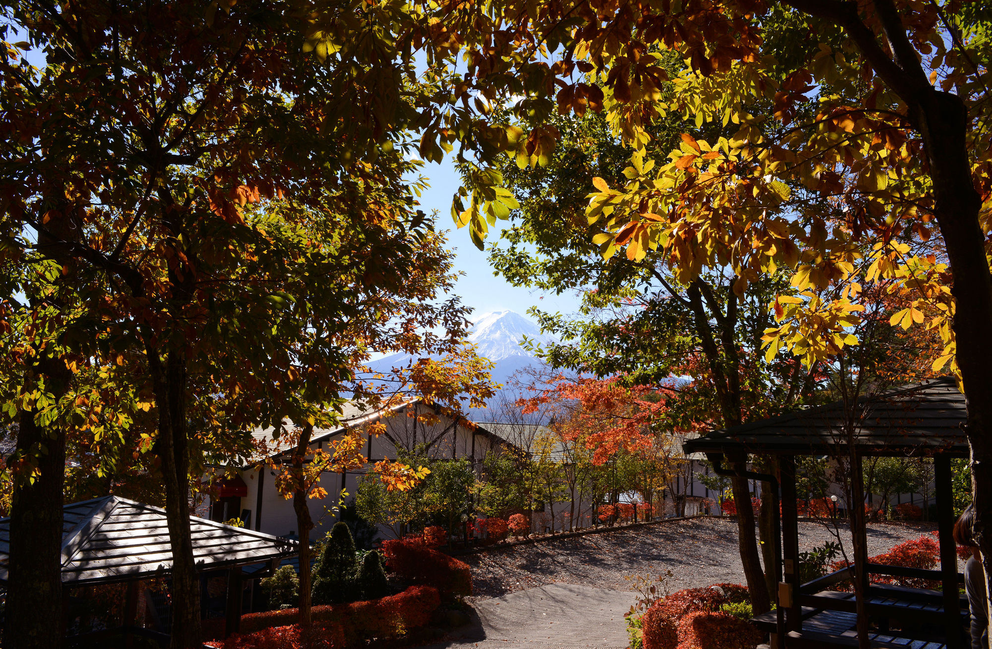 Kawaguchiko Country Cabaña Ban Fujikawaguchiko Exterior foto