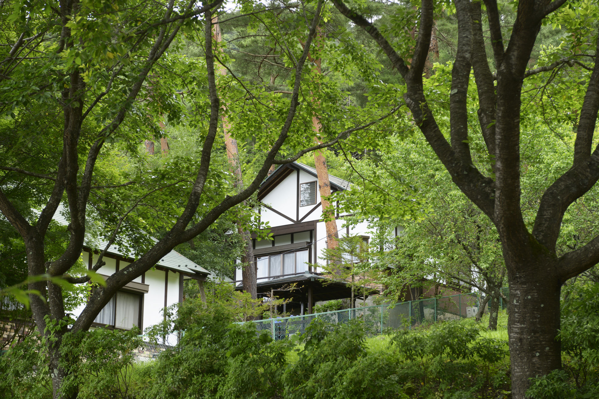 Kawaguchiko Country Cabaña Ban Fujikawaguchiko Exterior foto