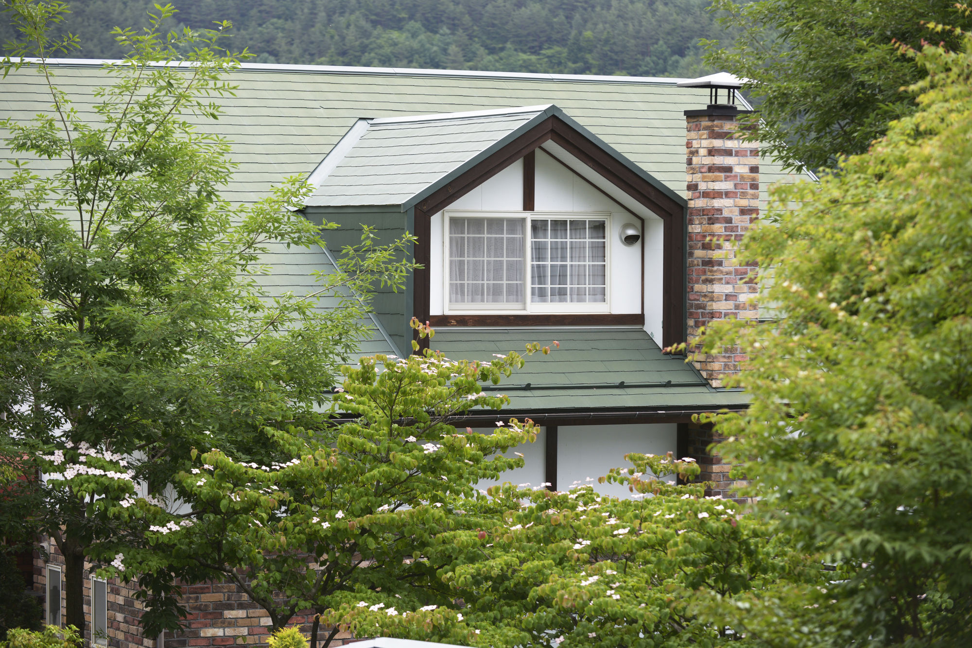 Kawaguchiko Country Cabaña Ban Fujikawaguchiko Exterior foto
